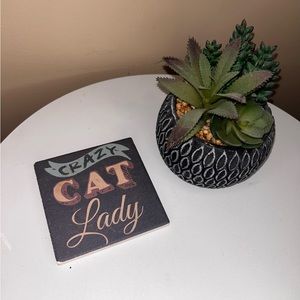 Crazy Cat lady Coaster